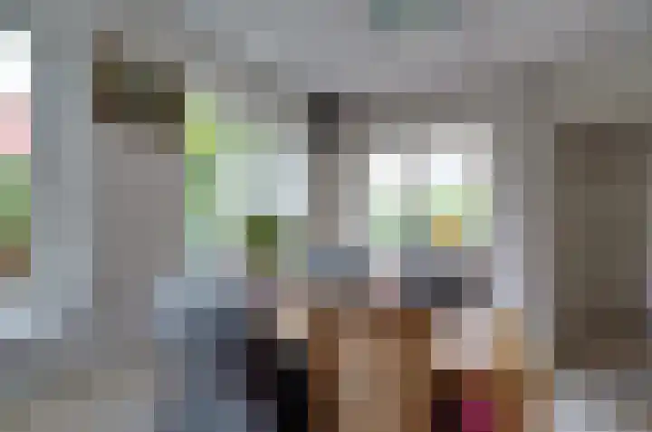 Taeke Schuilengalaan 15 Surhuisterveen thumbnail 16