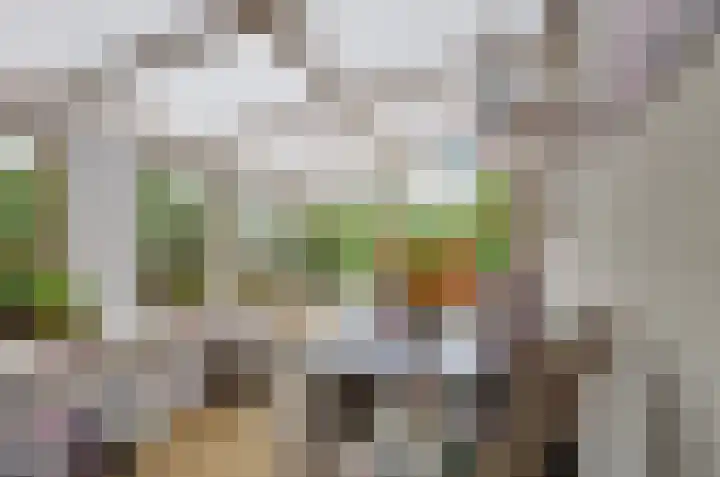 Taeke Schuilengalaan 15 Surhuisterveen thumbnail 17