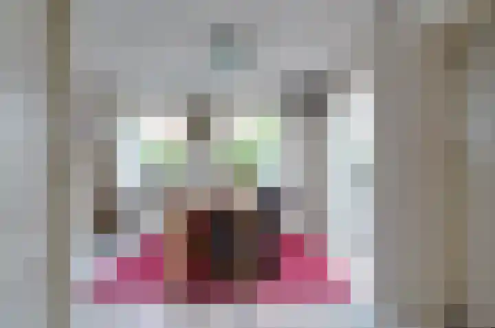 Taeke Schuilengalaan 15 Surhuisterveen thumbnail 19