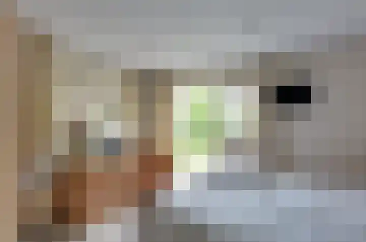 Taeke Schuilengalaan 15 Surhuisterveen thumbnail 24