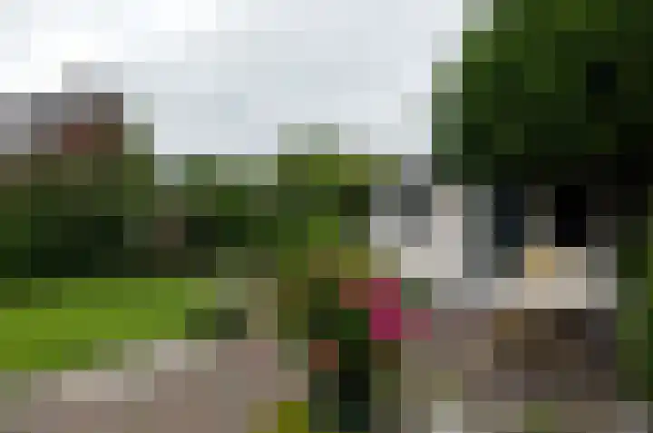 Taeke Schuilengalaan 15 Surhuisterveen thumbnail 38