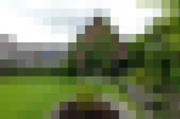 Taeke Schuilengalaan 15 Surhuisterveen thumbnail 41