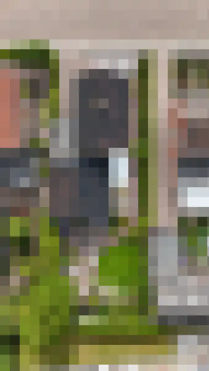 Taeke Schuilengalaan 15 Surhuisterveen thumbnail 52