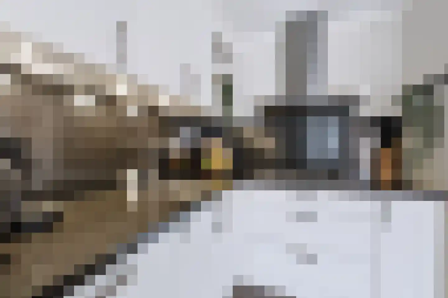 Taeke Schuilengalaan 77 Surhuisterveen thumbnail 12