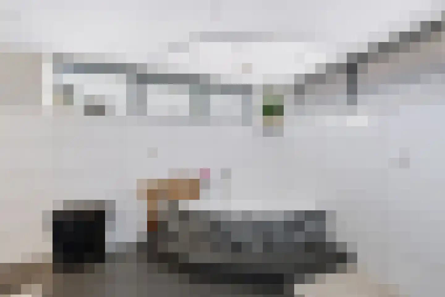 Taeke Schuilengalaan 77 Surhuisterveen thumbnail 19