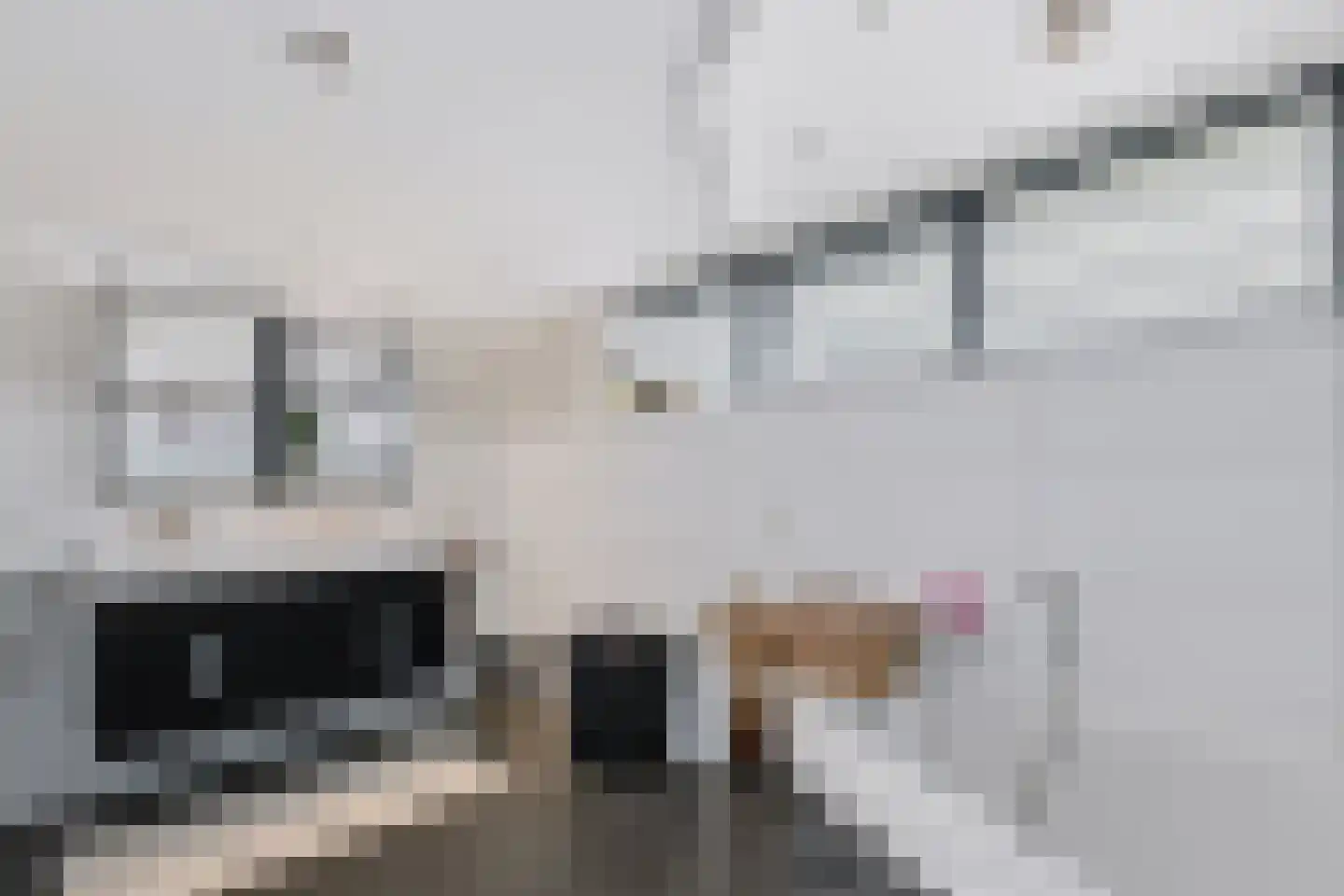 Taeke Schuilengalaan 77 Surhuisterveen thumbnail 4