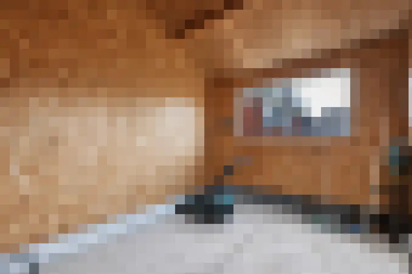 Taeke Schuilengalaan 77 Surhuisterveen thumbnail 42