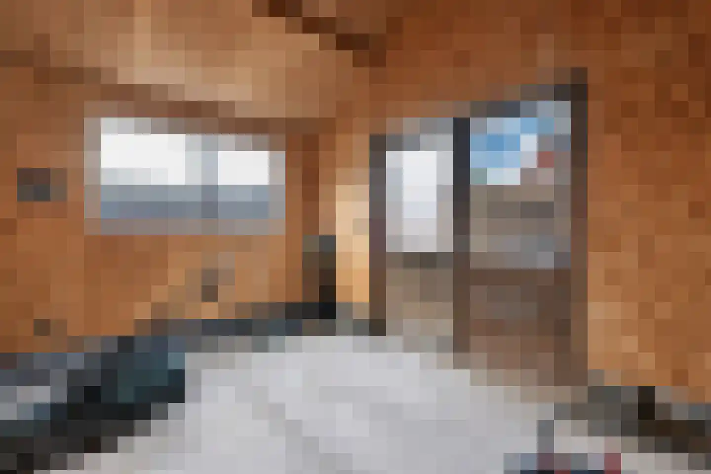 Taeke Schuilengalaan 77 Surhuisterveen thumbnail 43