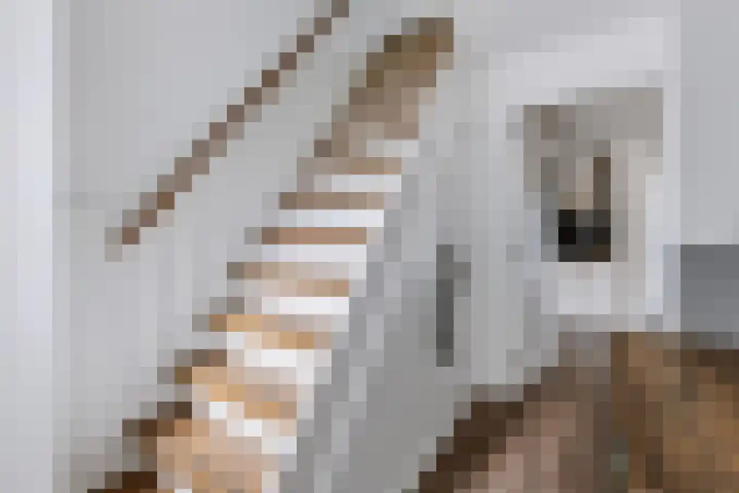 Taeke Schuilengalaan 77 Surhuisterveen thumbnail 6