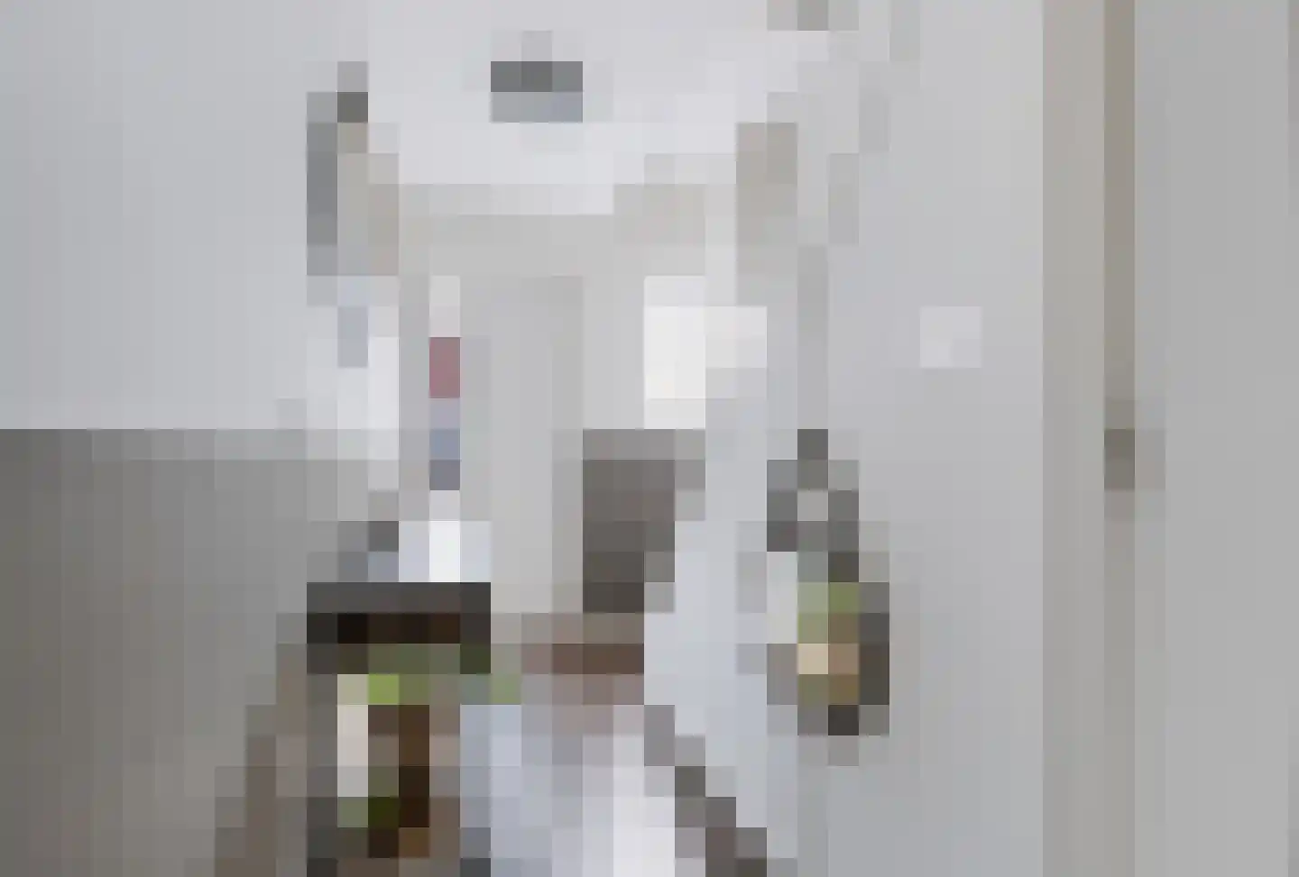 Taeke Schuilengalaan 77 Surhuisterveen thumbnail 7