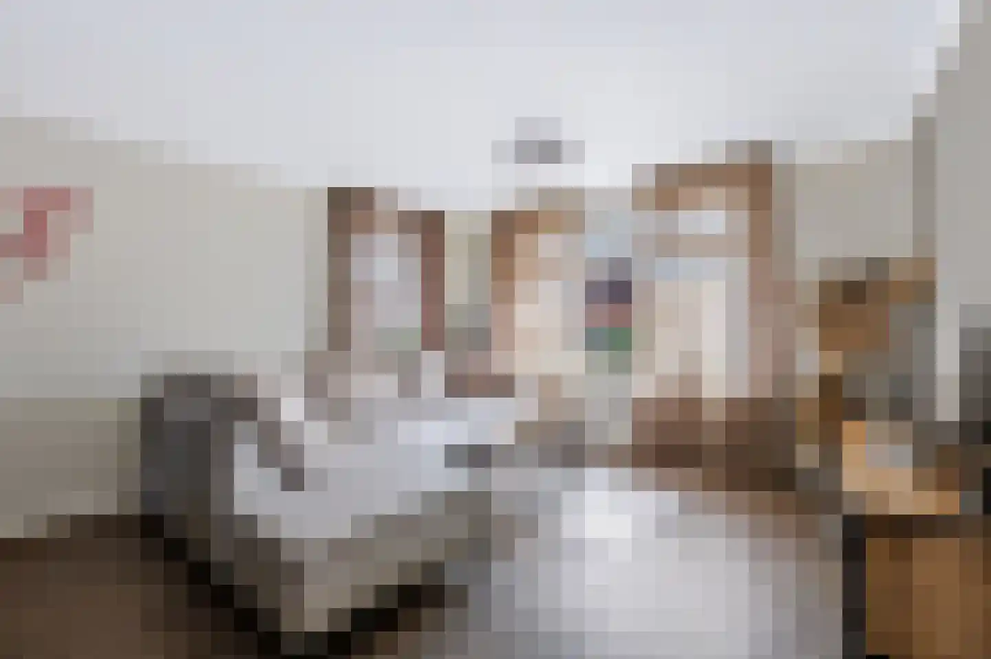 Taeke Schuilengalaan 77 Surhuisterveen thumbnail 8