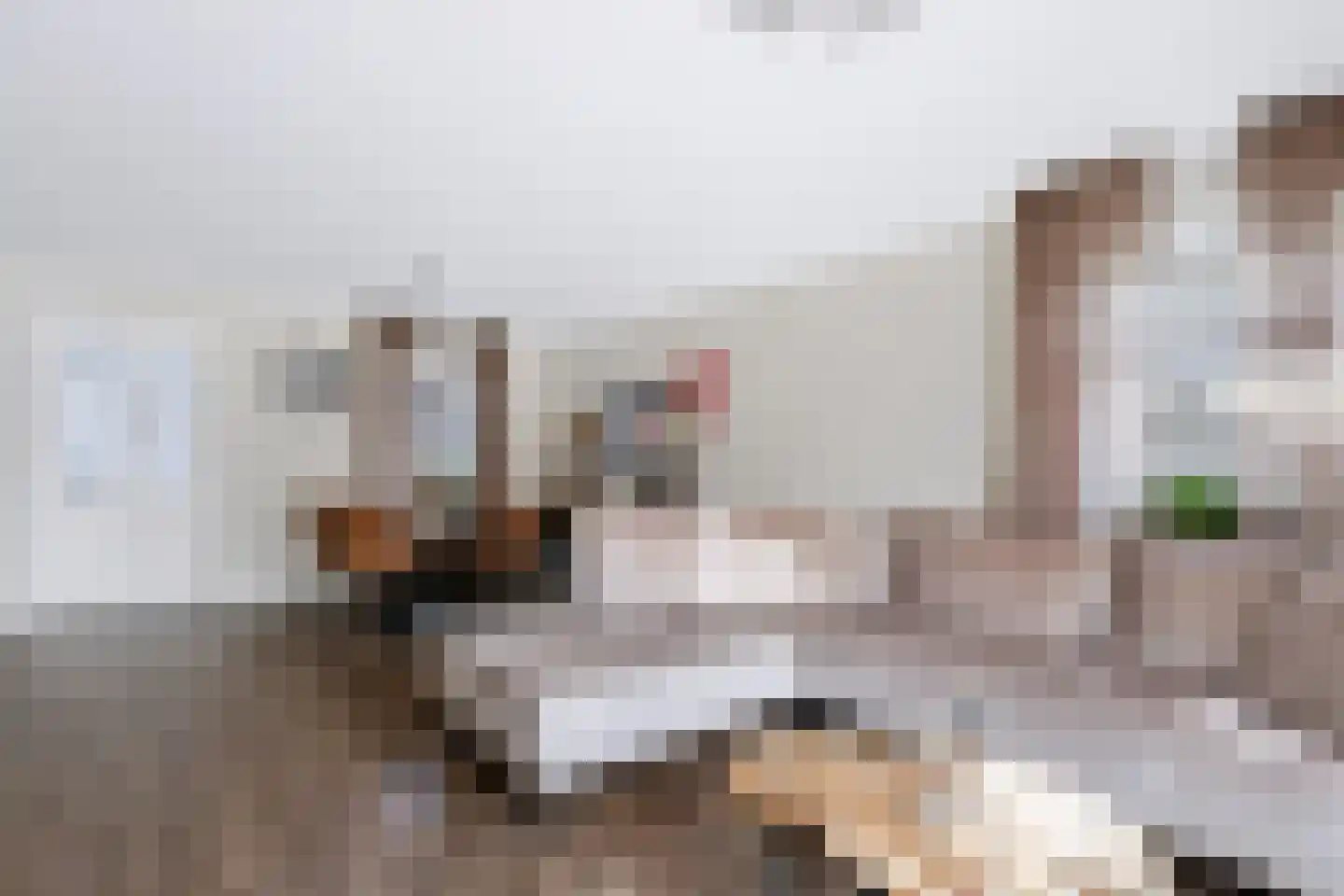 Taeke Schuilengalaan 77 Surhuisterveen thumbnail 9