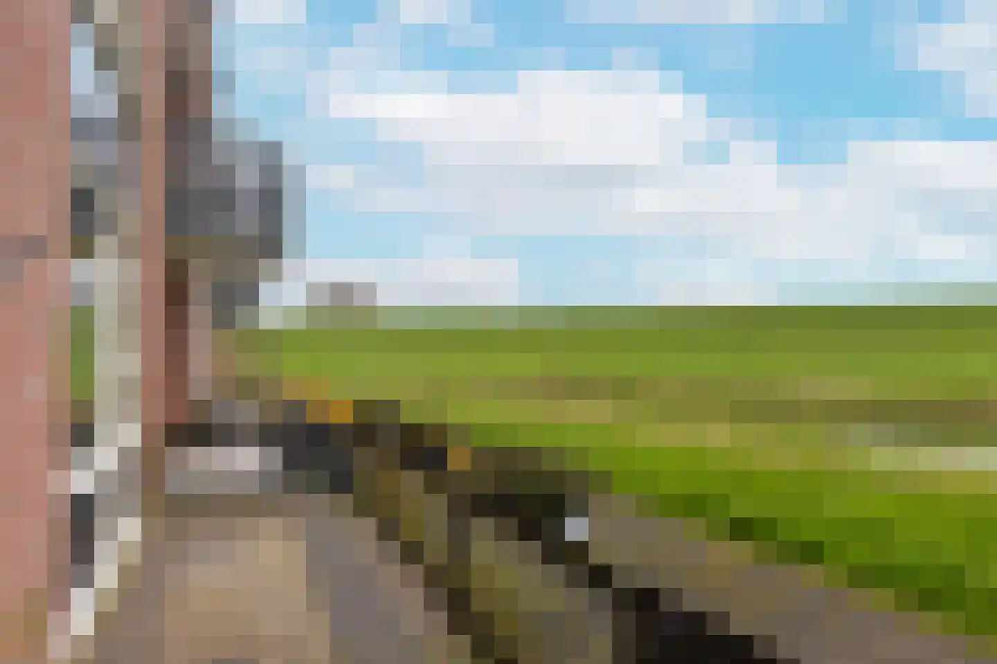Taeke van der Meerstraat 13 A Scharwoude thumbnail 22