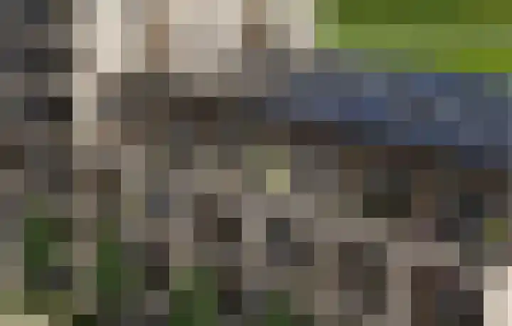 Taeke van der Meerstraat 319 Scharwoude thumbnail 4