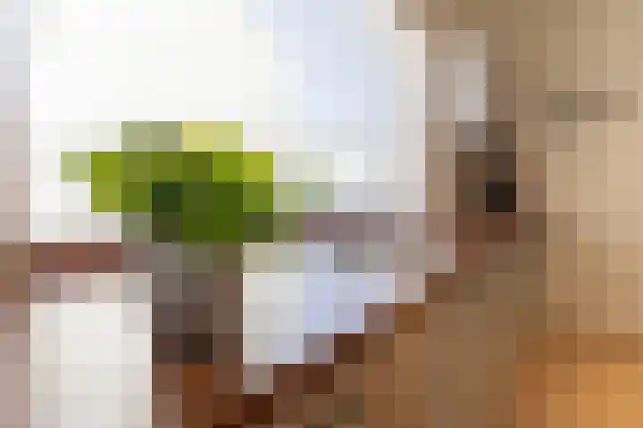 Taelmanshof 14 Brunssum thumbnail 12