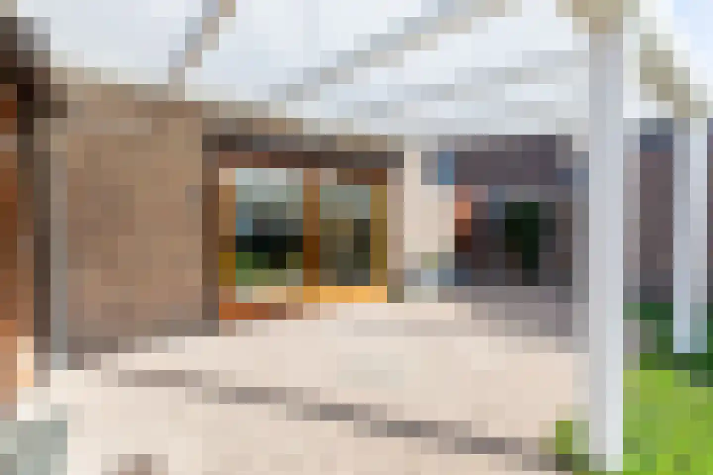 Taelmanshof 14 Brunssum thumbnail 27