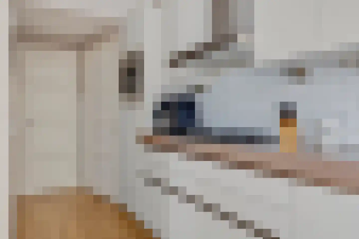 Taets van Amerongenstraat 18 Monster thumbnail 11