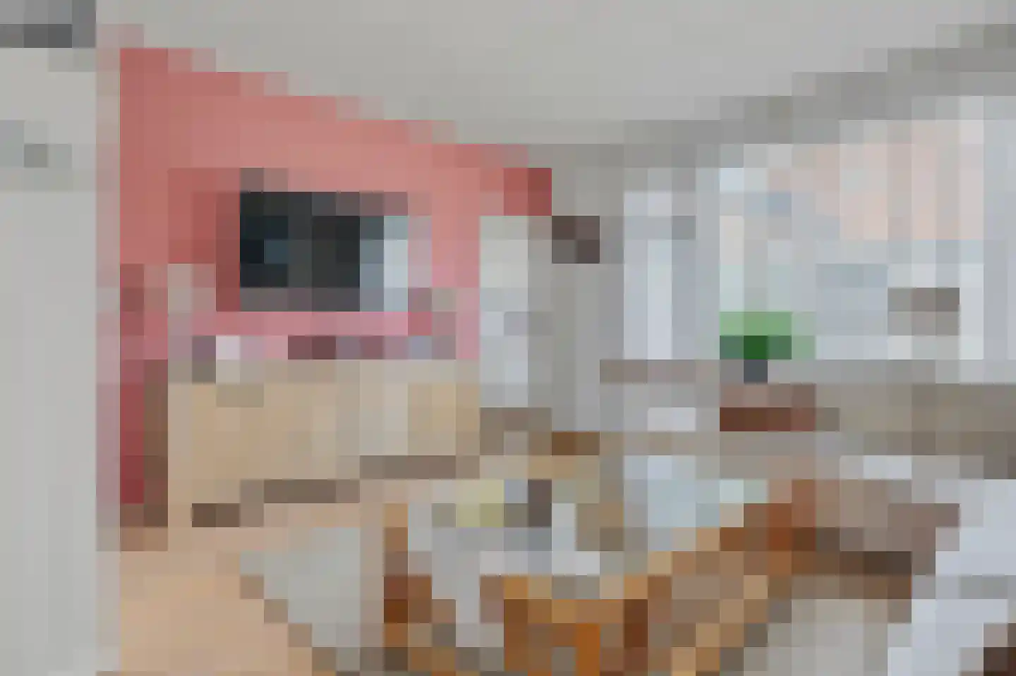 Taets van Amerongenstraat 18 Monster thumbnail 5