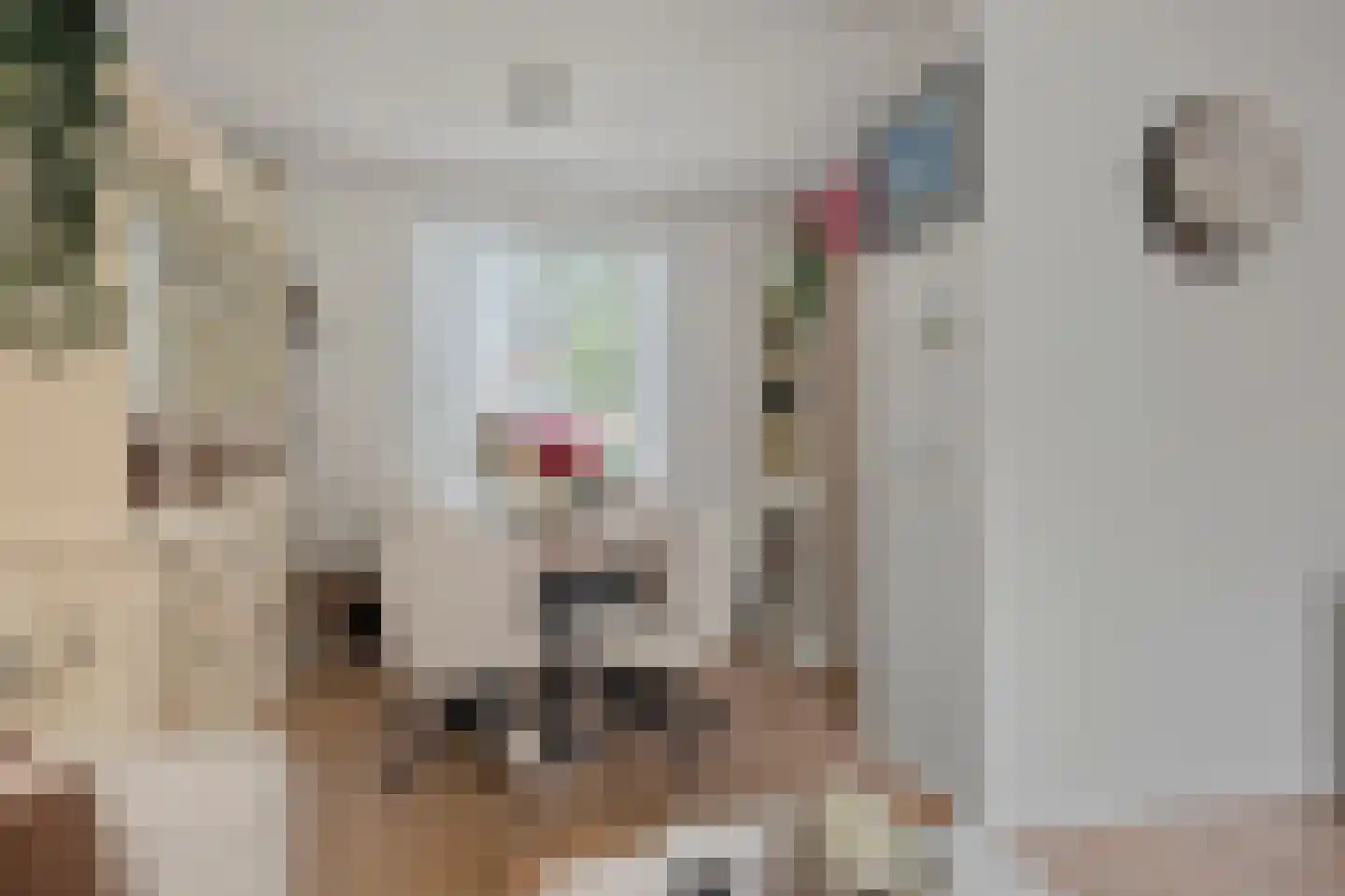 Taets van Amerongenstraat 18 Monster thumbnail 7