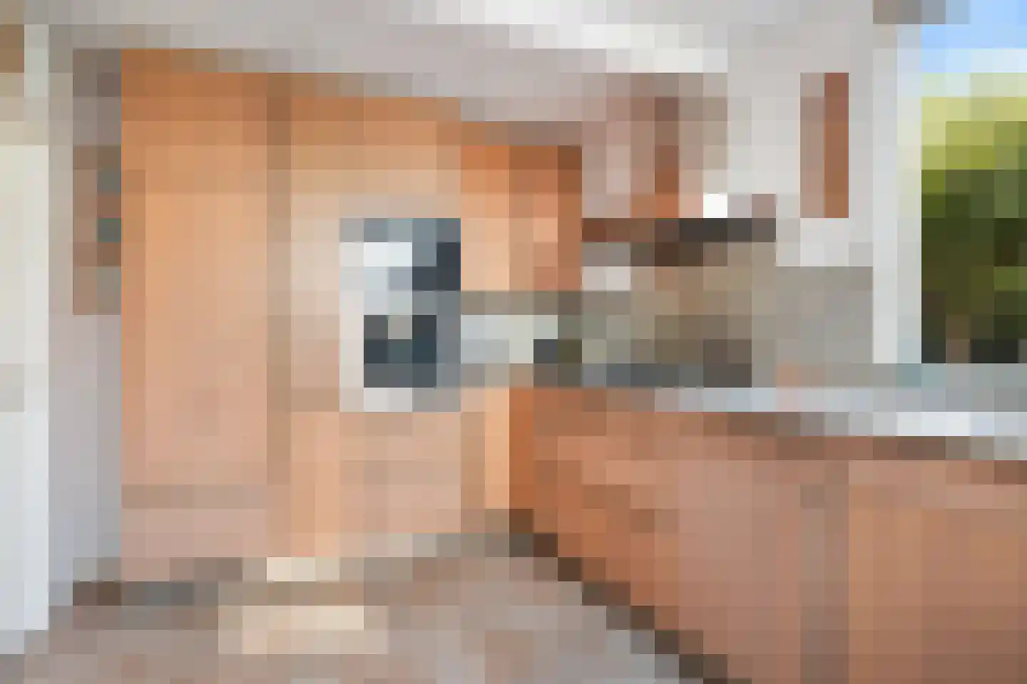 Taets van Amerongenstraat 2 Monster thumbnail 18