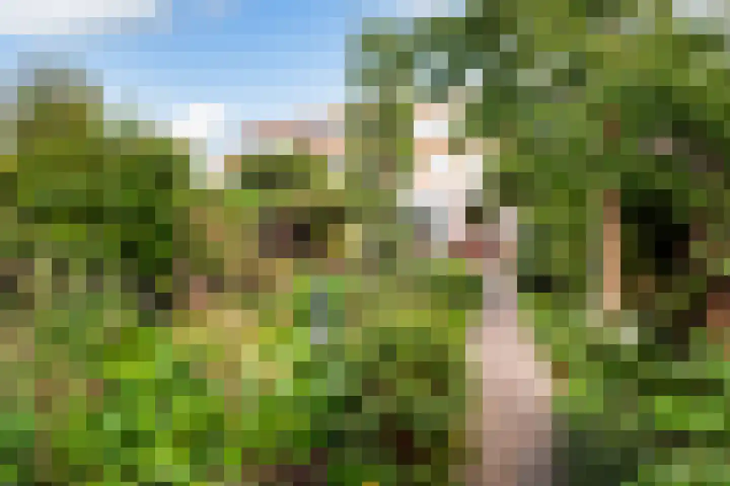 Taets van Amerongenstraat 2 Monster thumbnail 27