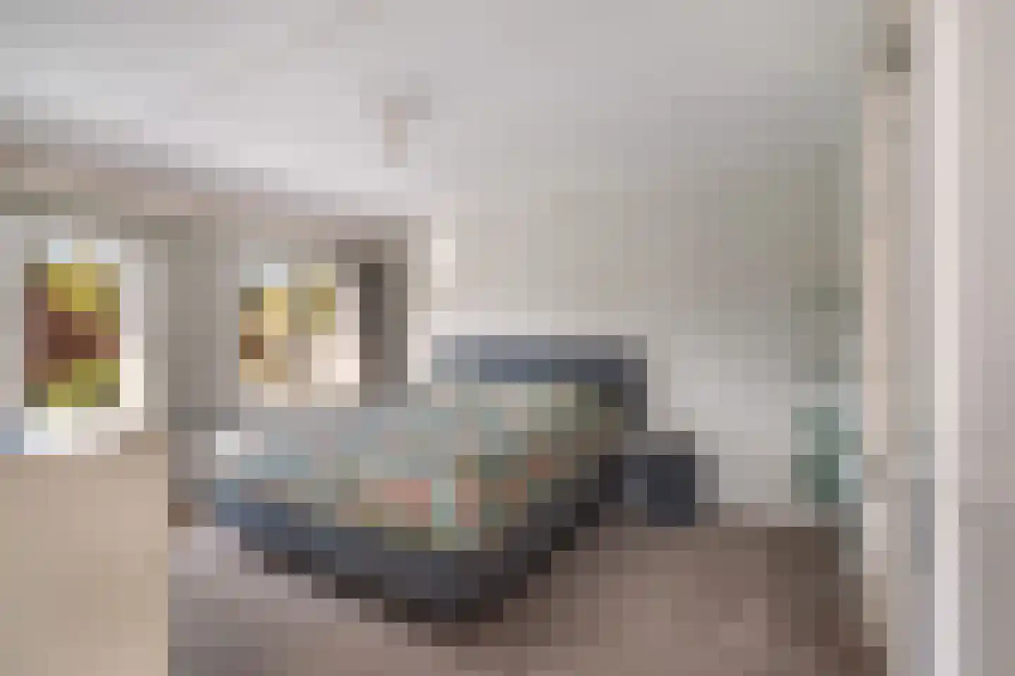 Taets van Amerongenstraat 2 Monster thumbnail 36