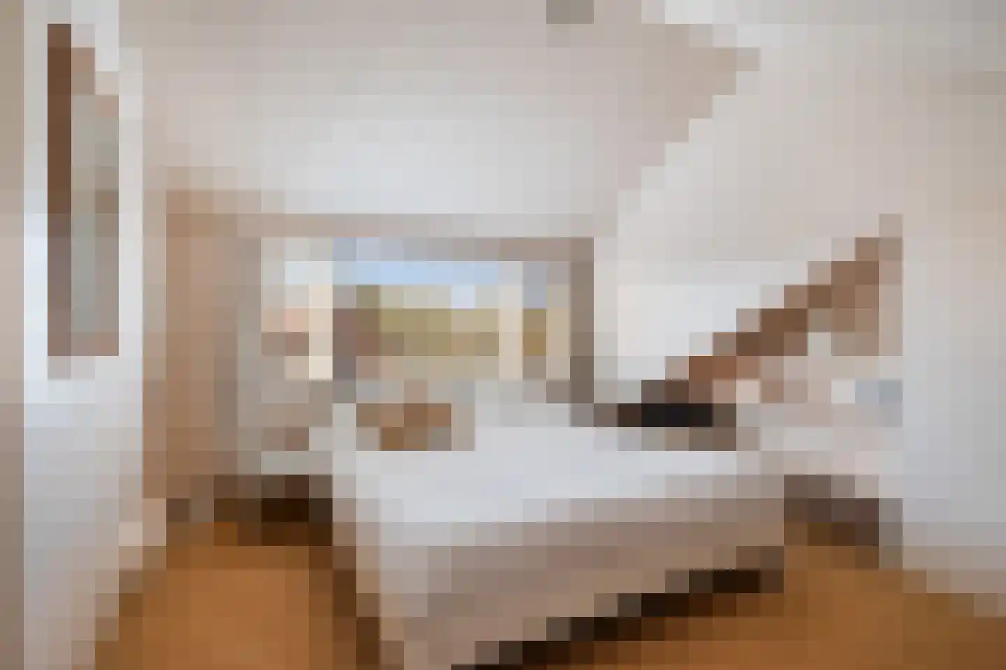 Taets van Amerongenstraat 2 Monster thumbnail 4