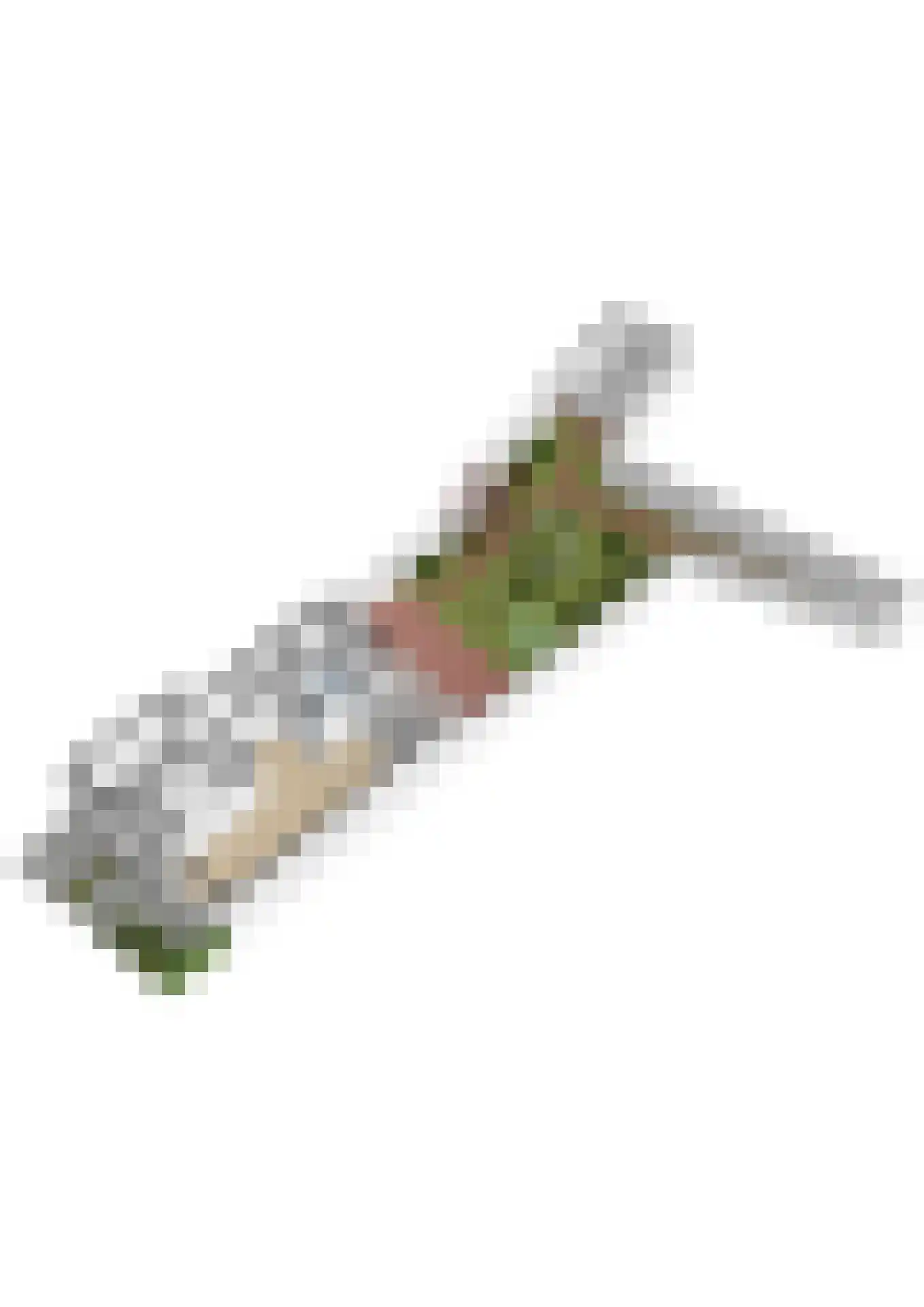 Taets van Amerongenstraat 2 Monster thumbnail 53