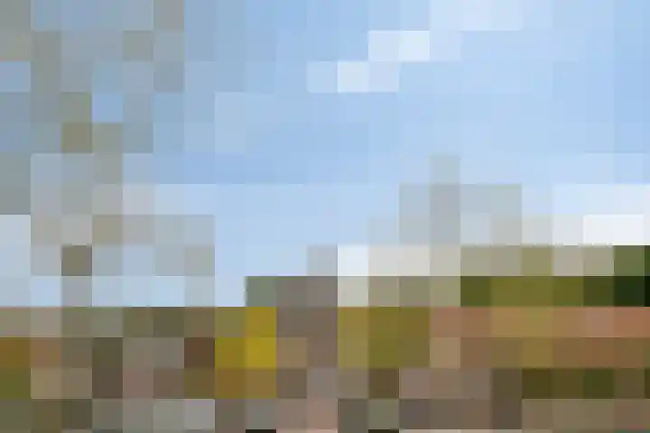 Taets van Amerongenweg 2 07 Renswoude thumbnail 33