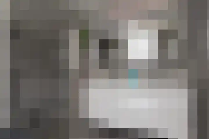 Taets van Amerongenweg 2 07 Renswoude thumbnail 4