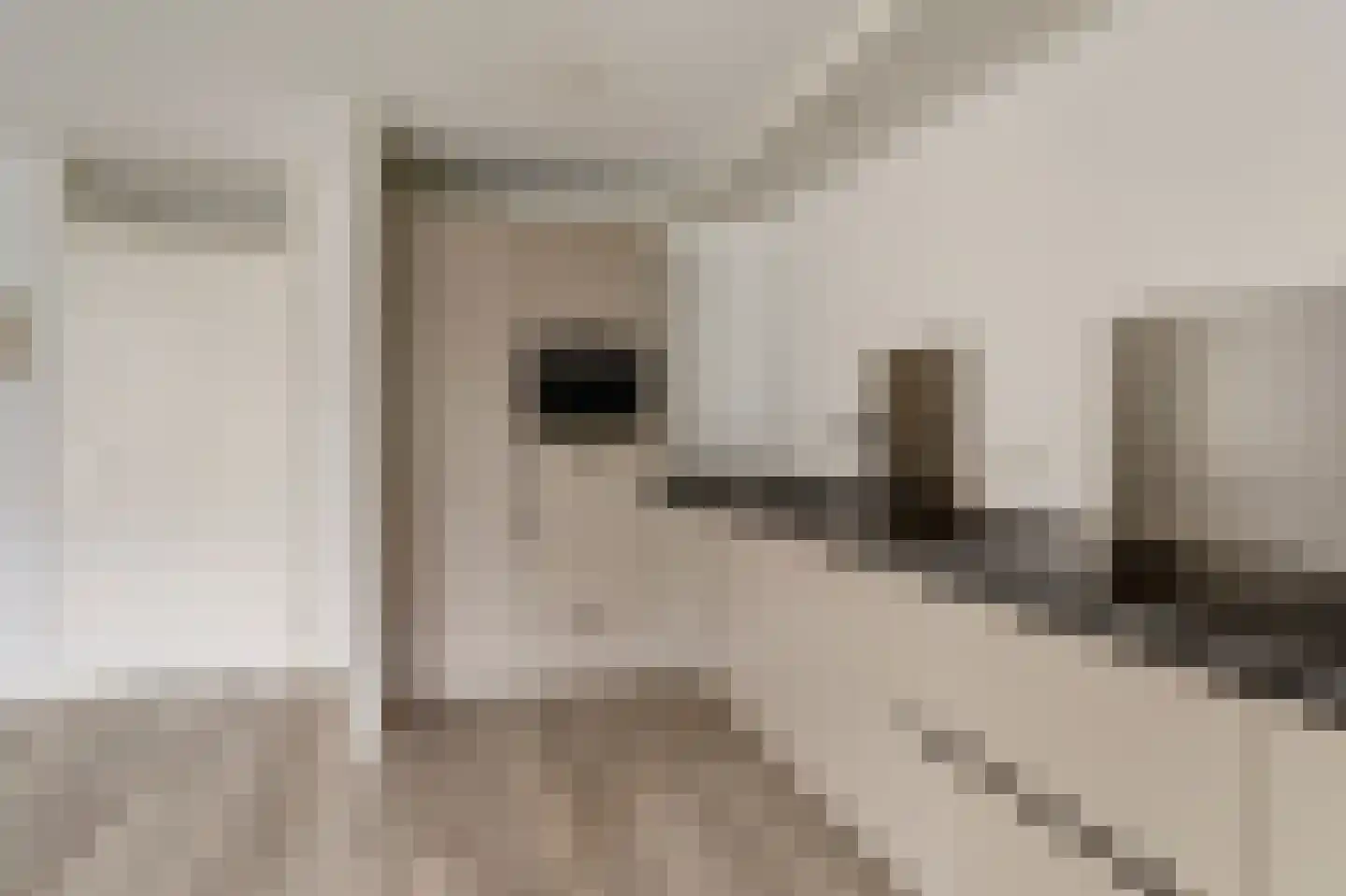 Taets van Amerongenweg 2 12 Renswoude thumbnail 21