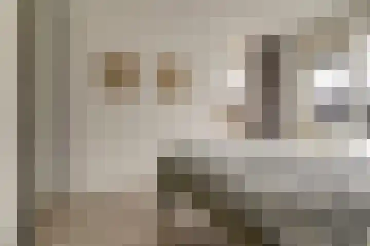 Taets van Amerongenweg 2 12 Renswoude thumbnail 27