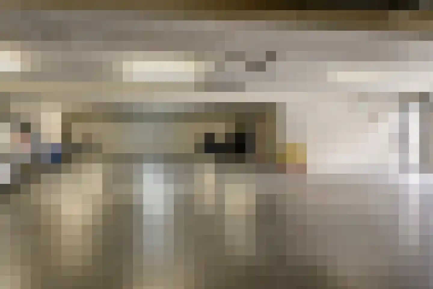 Taets van Amerongenweg 2 12 Renswoude thumbnail 37
