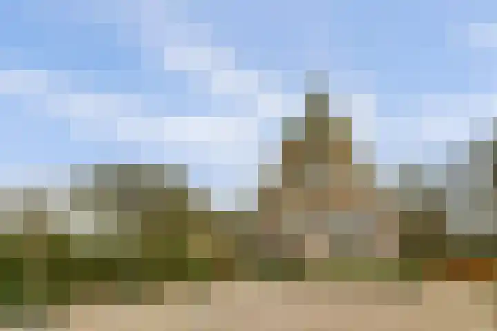 Taets van Amerongenweg 2 12 Renswoude thumbnail 38