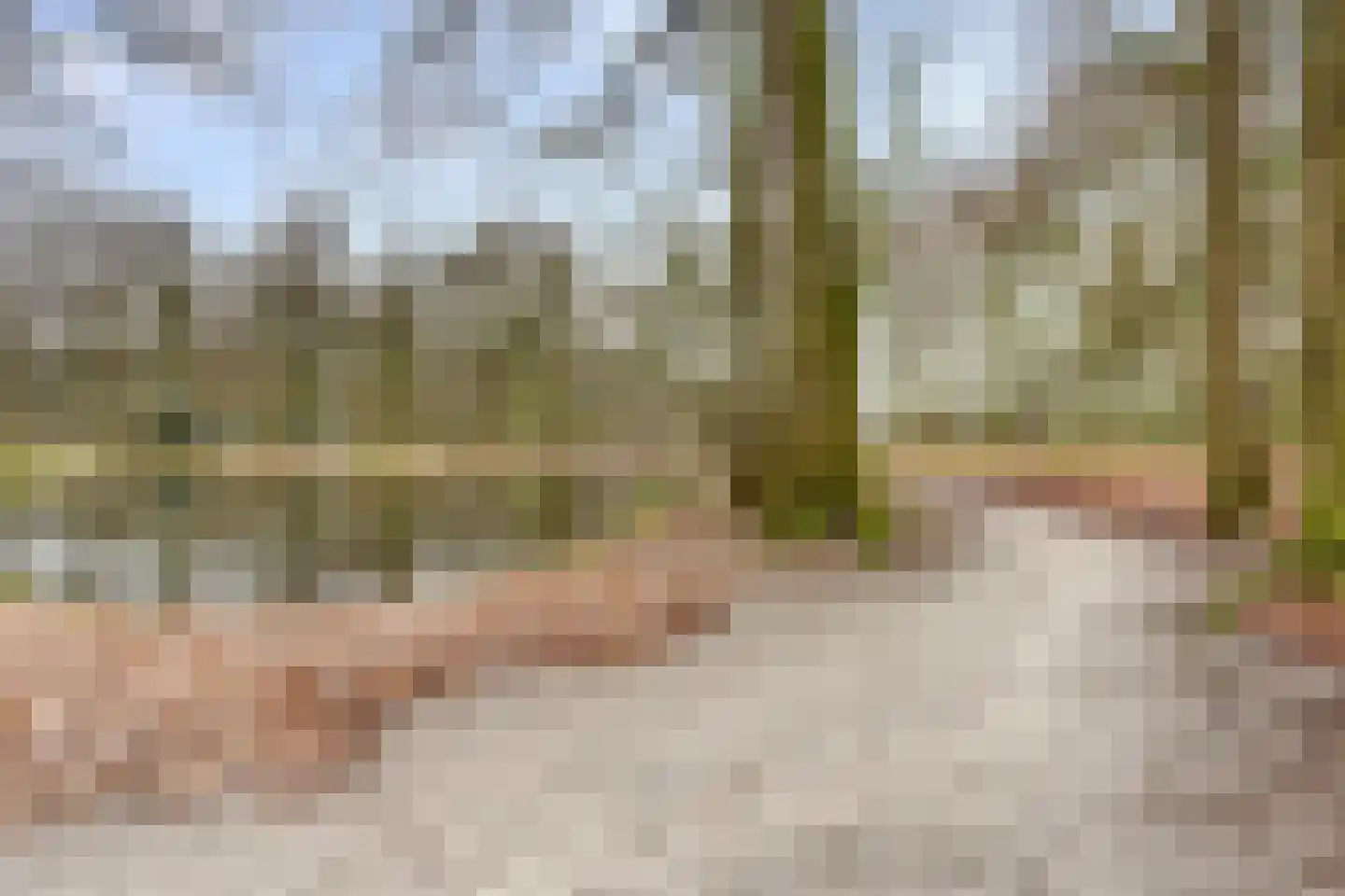Taets van Amerongenweg 2 12 Renswoude thumbnail 39