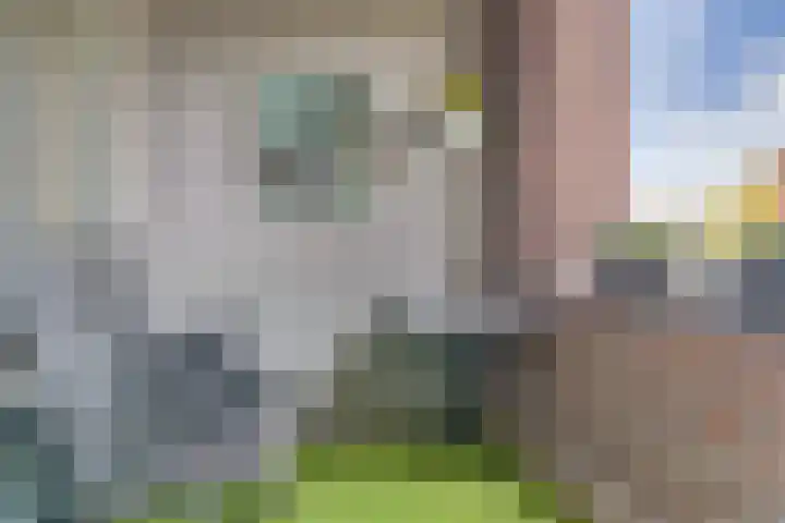 Taets van Amerongenweg 2 13 Renswoude thumbnail 19