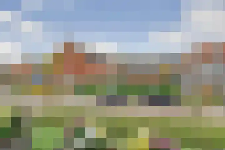 Taets van Amerongenweg 2 13 Renswoude thumbnail 20
