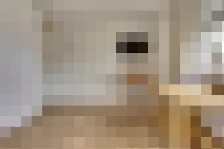 Taets van Amerongenweg 2 13 Renswoude thumbnail 30