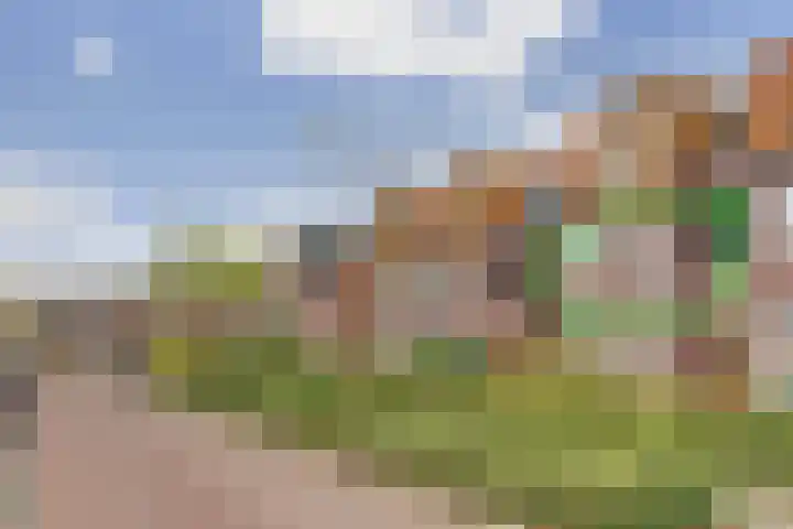 Taets van Amerongenweg 2 13 Renswoude thumbnail 4