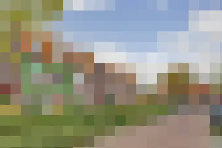 Taets van Amerongenweg 2 13 Renswoude thumbnail 5