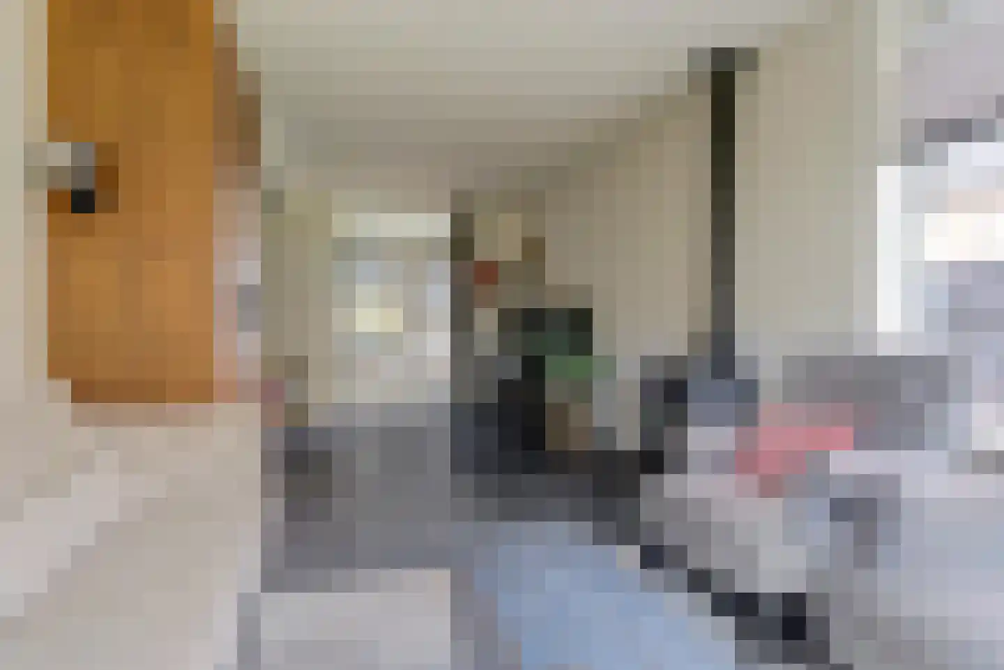 Taets van Amerongenweg 42 Renswoude thumbnail 11