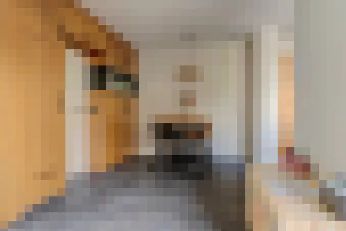 Taets van Amerongenweg 42 Renswoude thumbnail 15