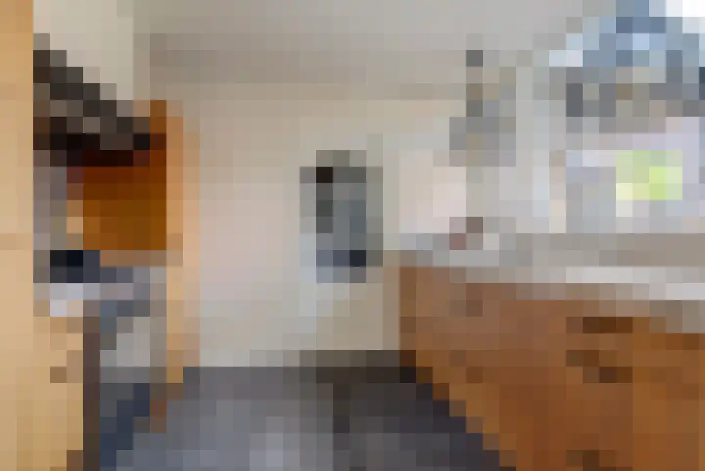 Taets van Amerongenweg 42 Renswoude thumbnail 17
