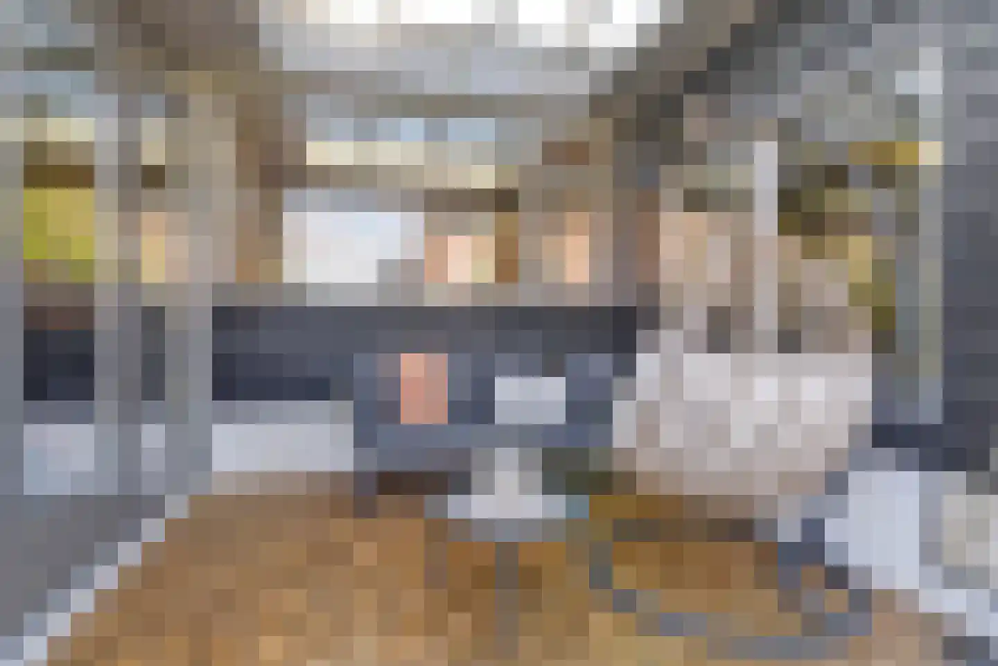 Taets van Amerongenweg 42 Renswoude thumbnail 22