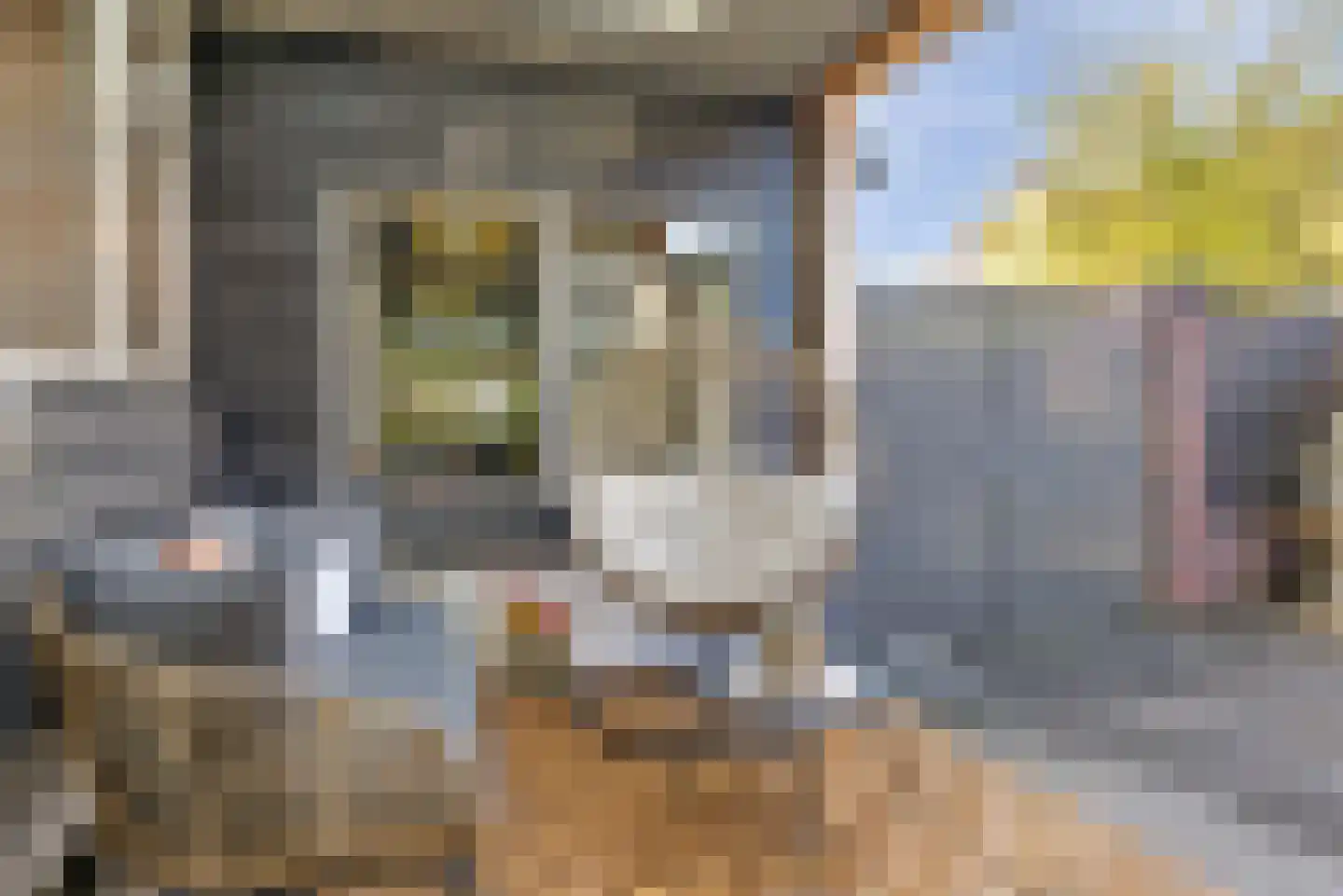 Taets van Amerongenweg 42 Renswoude thumbnail 23