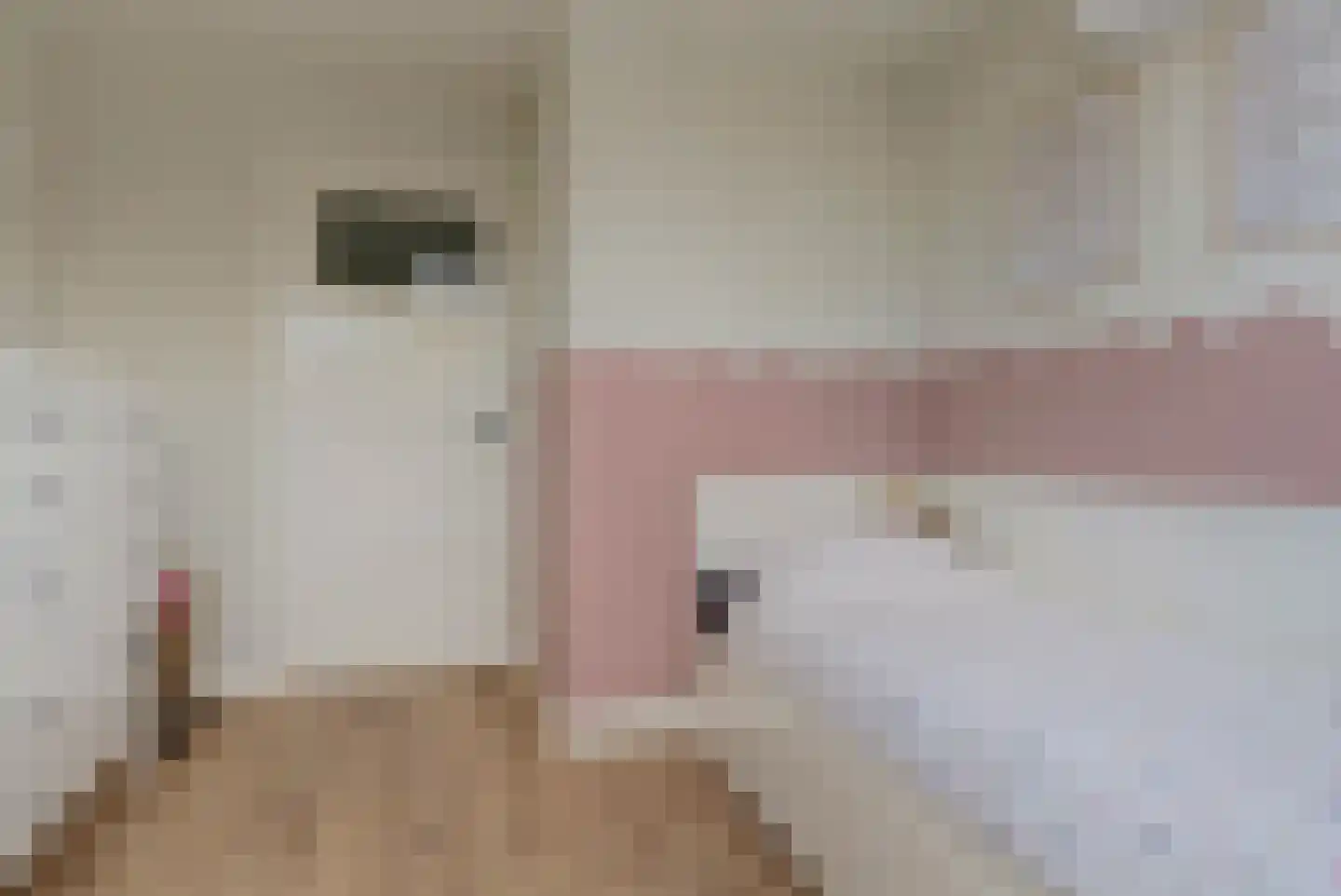 Taets van Amerongenweg 42 Renswoude thumbnail 31