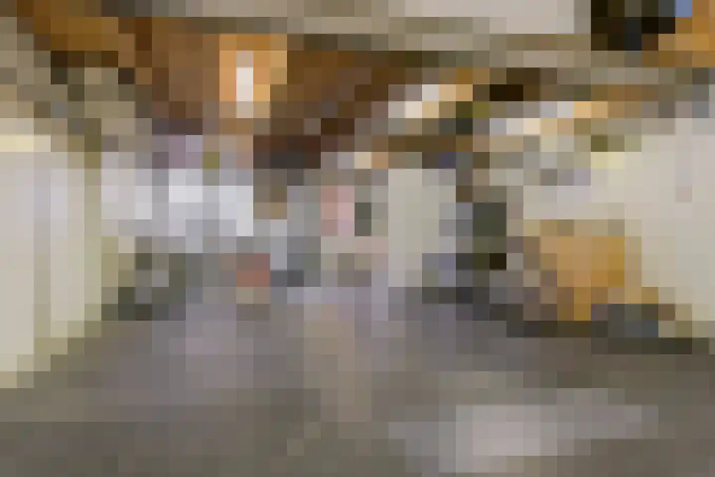Taets van Amerongenweg 42 Renswoude thumbnail 5
