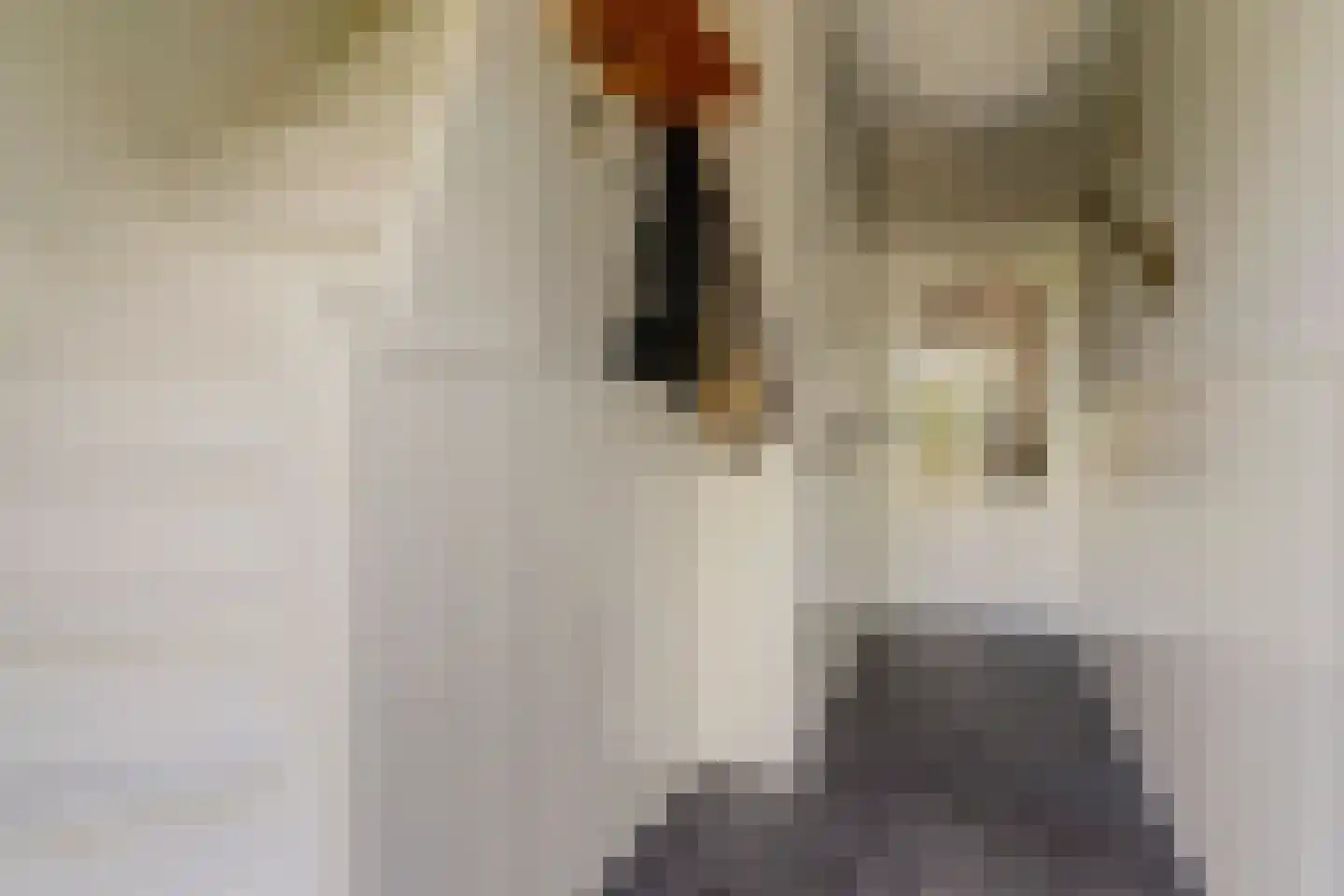 Taets van Amerongenweg 42 Renswoude thumbnail 8