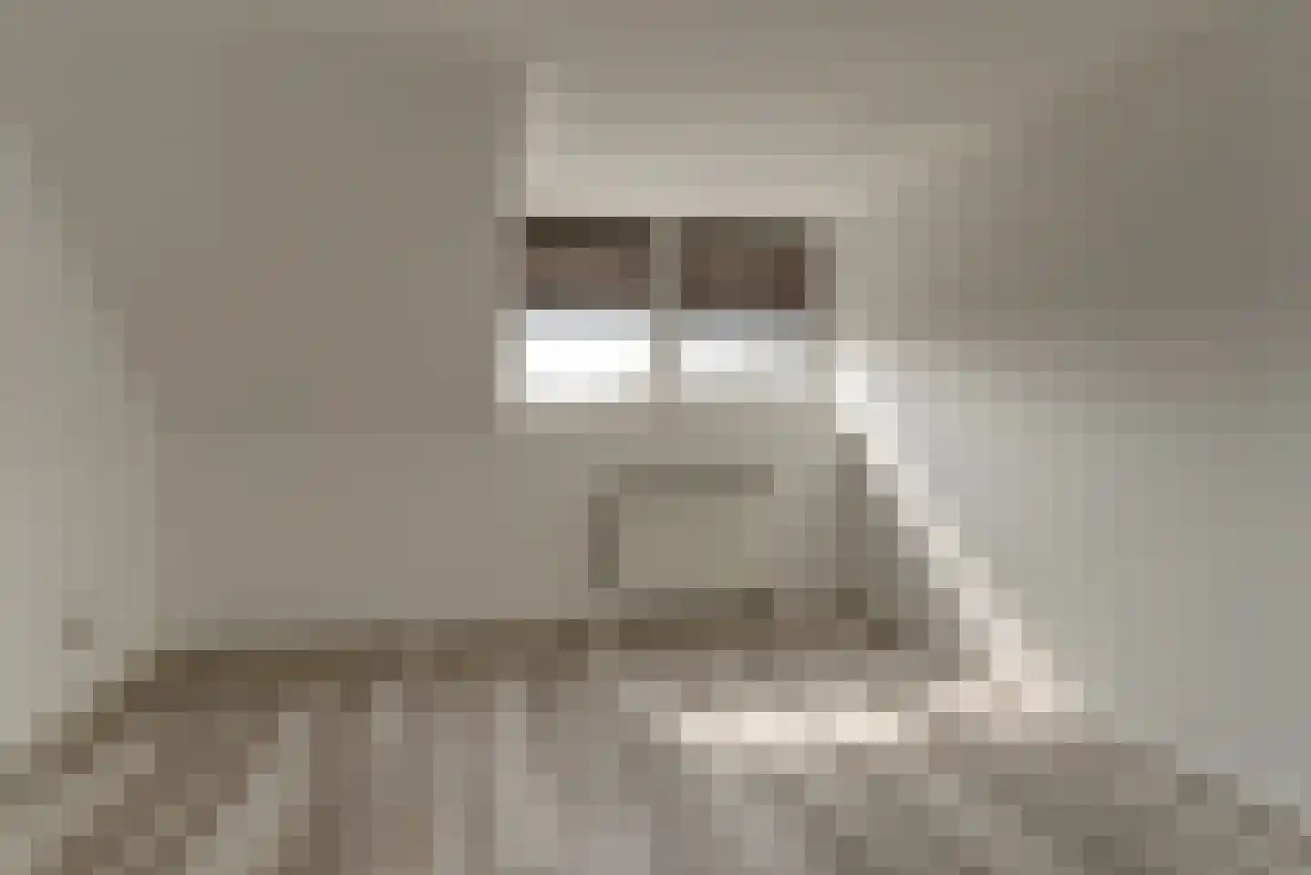 Taets van Amerongenweg 48 Renswoude thumbnail 29