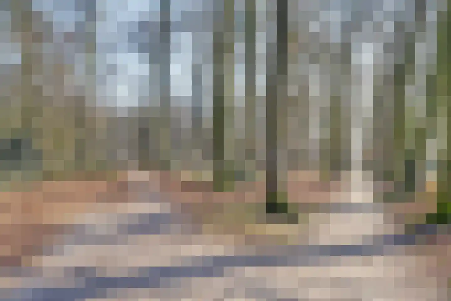 Taets van Amerongenweg 48 Renswoude thumbnail 34